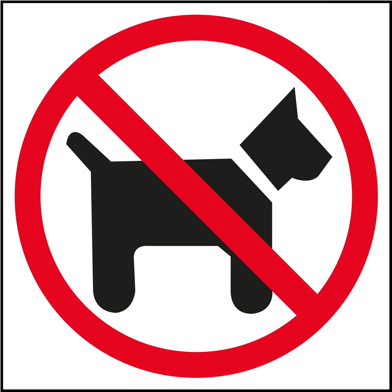 Apli D-sign klistermærke Hunde forbudt 114x114mm