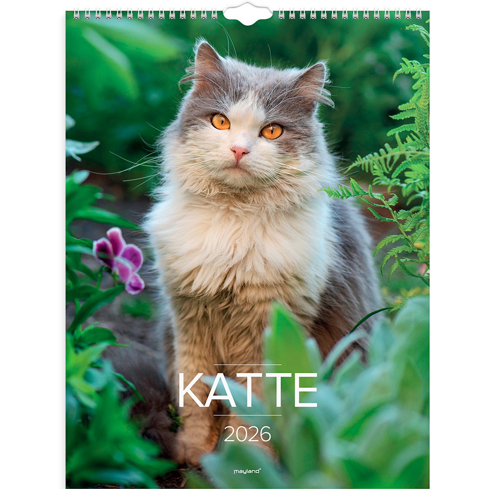Mayland 2026 26066300 katte vægkalender 29,5x39cm