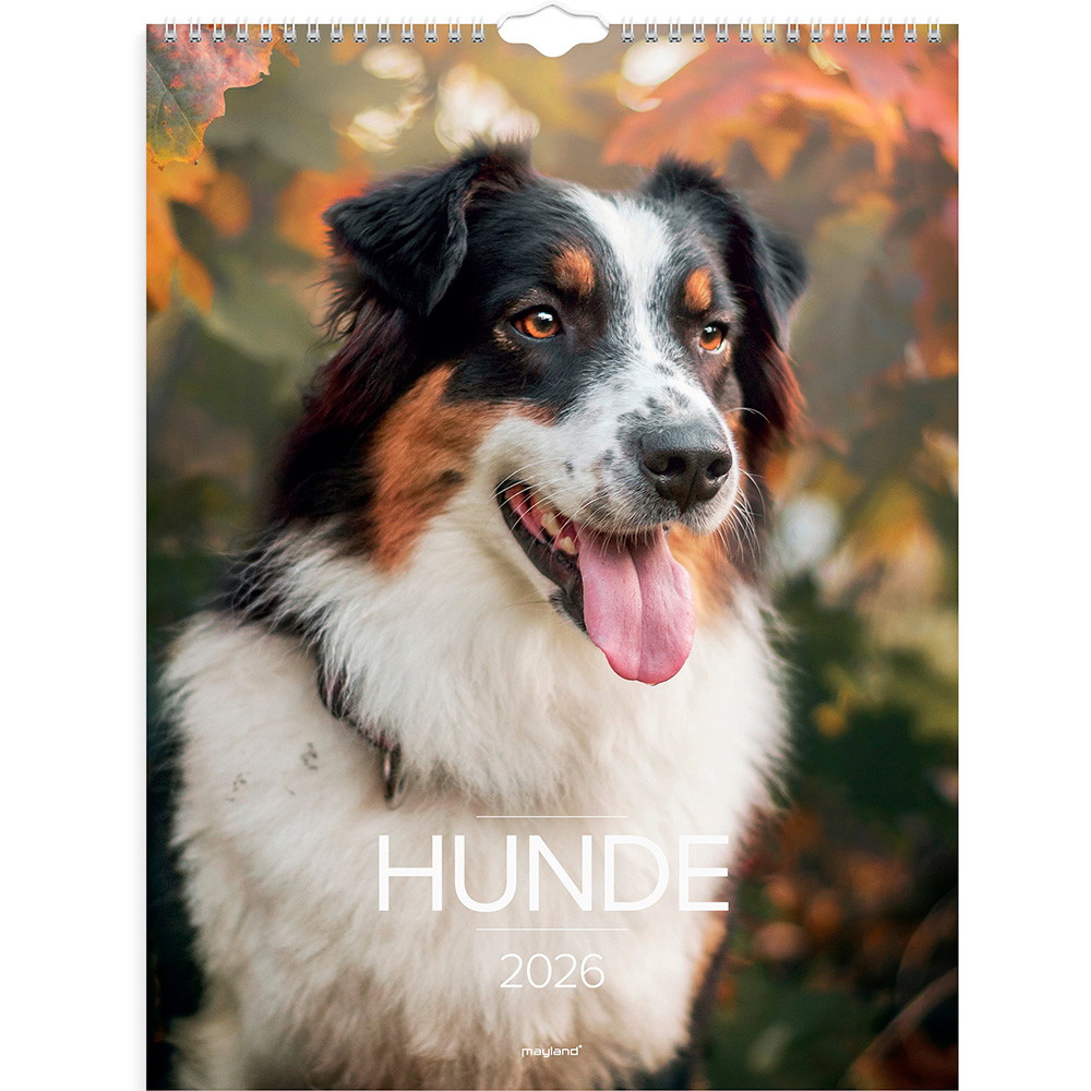 Mayland 2026 26066320 hunde vægkalender 29,5x39cm
