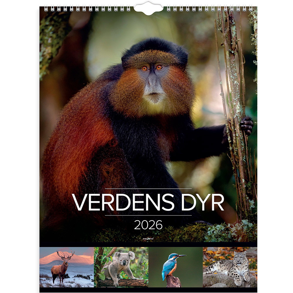 Mayland 2026 26066330 verdens dyr vægkalender 29,5x39cm