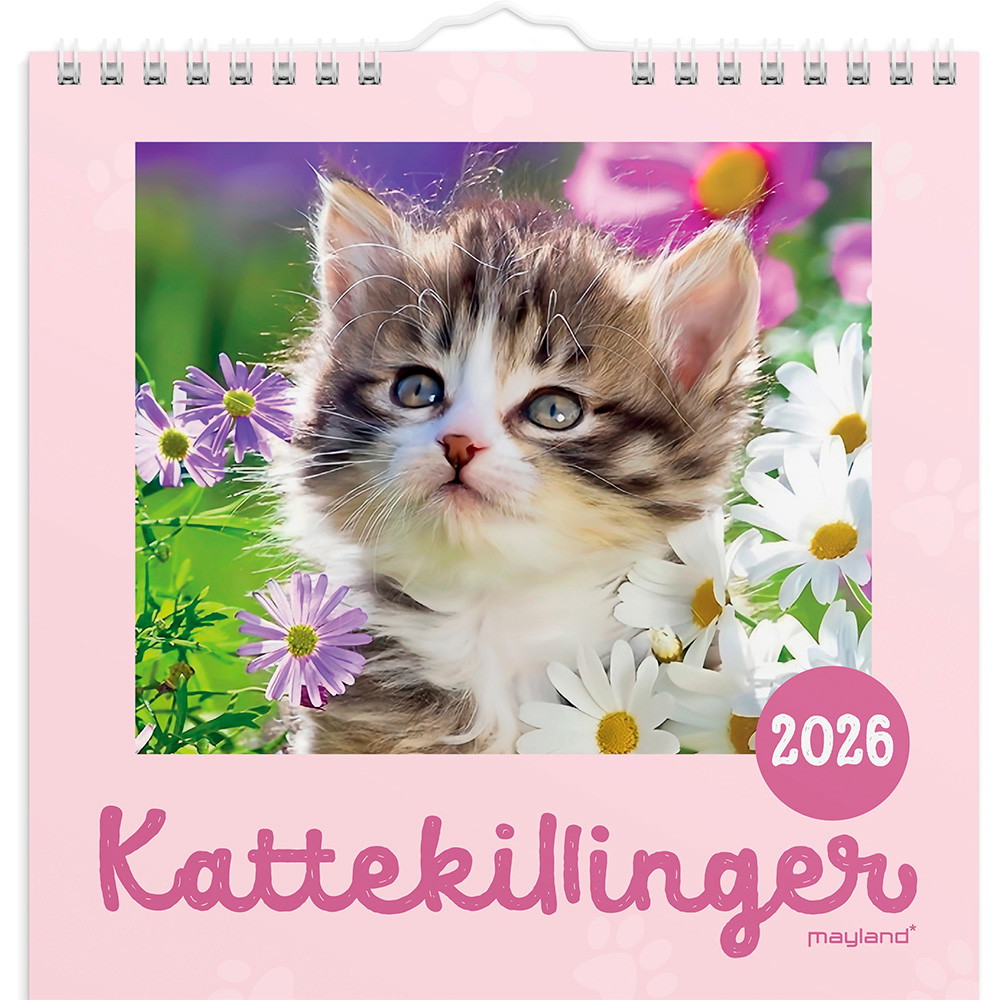 Mayland 2026 26066400 kattekillinger vægkalender 16x16,4cm