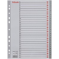 Esselte register A4 med 31 tabs i farven grå