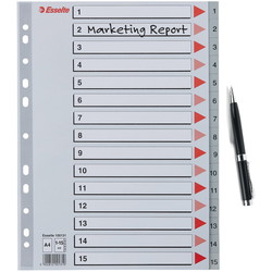 Esselte A4 register 15tabs grå