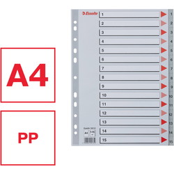 Esselte A4 register 15tabs grå