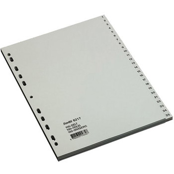 Bantex A4 register med 100 tabs