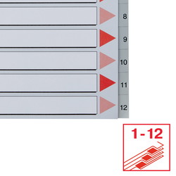 Esselte MAXI register A4+ med 12 tabs i farven grå