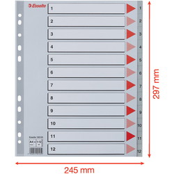 Esselte MAXI register A4+ med 12 tabs i farven grå