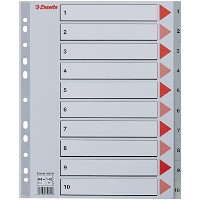 Esselte MAXI register A4+ med 10 tabs i farven grå
