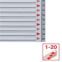 Esselte MAXI register A4+ med 20 tabs i farven grå