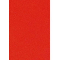 Skiltekarton 100x70cm 100g neonrød