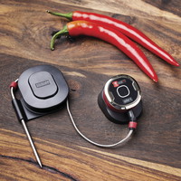 Weber iGrill Mini termometer