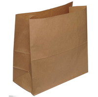 Klodsbundspose 20 ltr 80g brun 200 stk