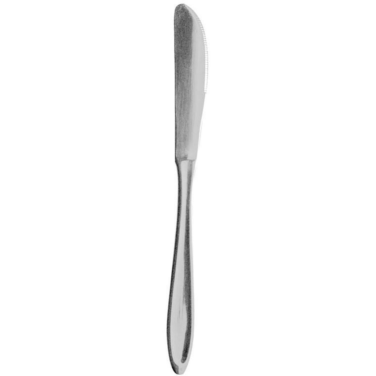 P1 bordkniv i rustfrit stål 21 cm 12 stk 