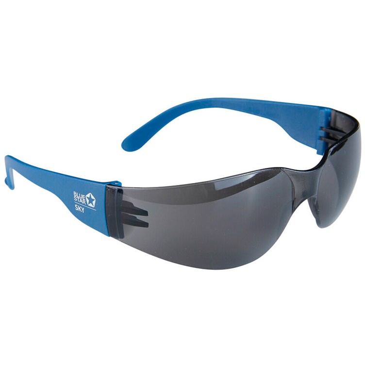 BlueStar Sky sikkerhedsbriller Blå/Smoke  kategori C