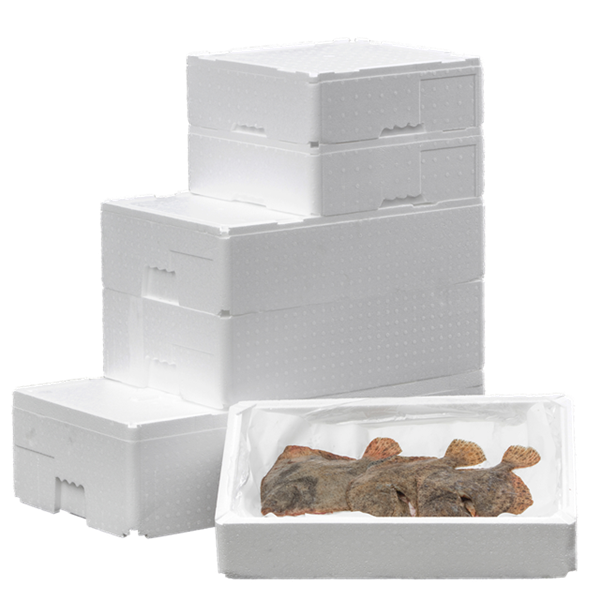 Easy FoodBox termokasse 10 ltr hvid