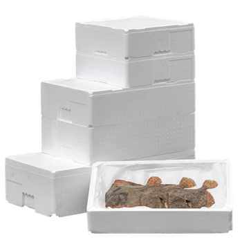 Easy FoodBox termokasse 10 ltr hvid