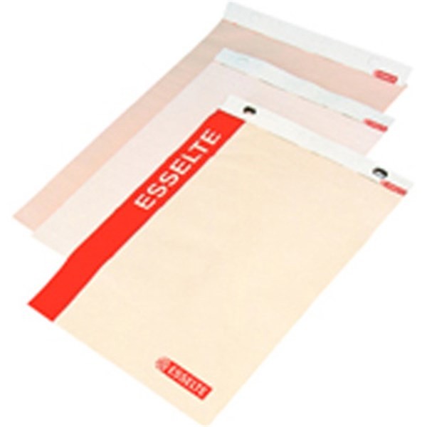 Flipoverpapir Esselte Blank/Kvadreret 80x59cm Hvid