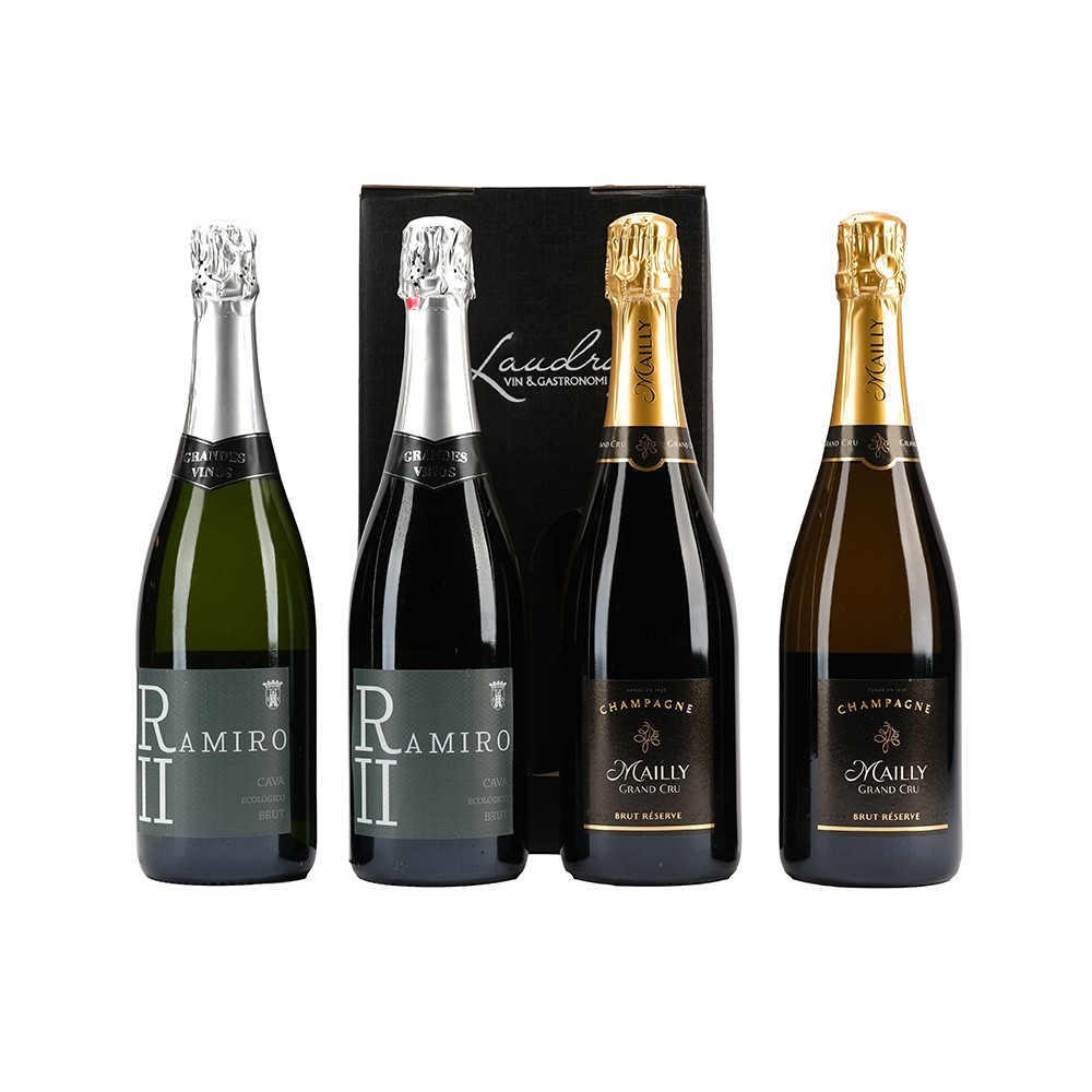 Laudrup 'Nytårs Bobler' 4 x mousserende vin + champagne