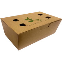Foodbox 81x145x53mm 100stk