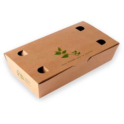 Foodbox 100x200x30mm 150stk