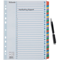 Esselte Mylar A4 register 1-31 farvede faner 