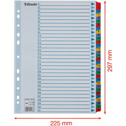 Esselte Mylar A4 register 1-31 farvede faner 