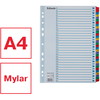 Esselte Mylar A4 register 1-31 farvede faner 