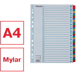 Esselte Mylar A4 register 1-31 farvede faner 