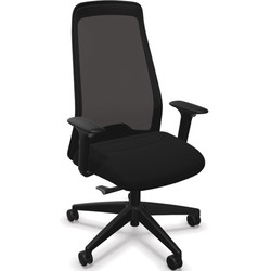 Interstuhl EVERYis1 EV257 manhattan sort/sort