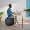 Leitz Ergo Cosy Active balancebold Ø65cm grå