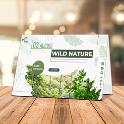 Teltdisplay akryl A4 glasklar