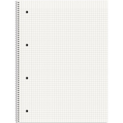 Rhino Recycled kollegieblokke 70g A4 kvadretet 4 huller