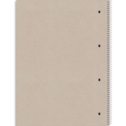 Rhino Recycled kollegieblokke 70g A4 kvadretet 4 huller