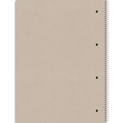 Rhino Recycled kollegieblokke 70g A4 linjeret 4 huller