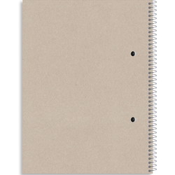 Rhino Recycled kollegieblokke 70g A5 linjeret 2 huller