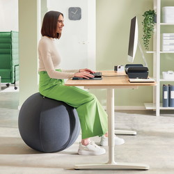 Leitz Ergo Active balancebold Ø55cm mørkegrå