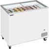 Tefcold IC301SC isfryser 296L