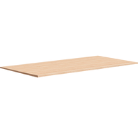Bordplade 160x80cm eg