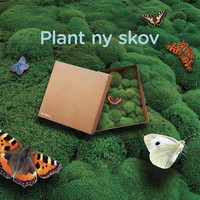 Plant Ny Skov Gaveboks Plant 11 træer i Danmark