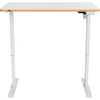 Leitz Ergo Kompakt hæve-sænkebord elektrisk 120x70cm hvid