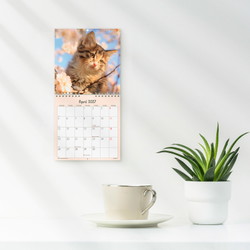 Mayland 27066400 Kattekillinger vægkalender 16x16,4cm