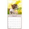 Mayland 27066400 Kattekillinger vægkalender 16x16,4cm