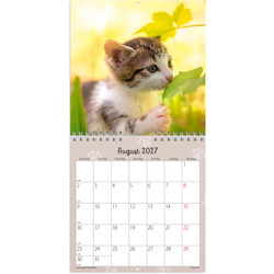 Mayland 27066400 Kattekillinger vægkalender 16x16,4cm