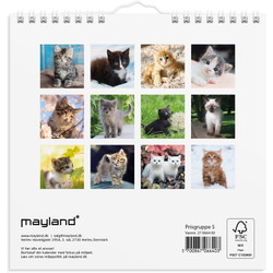 Mayland 27066400 Kattekillinger vægkalender 16x16,4cm