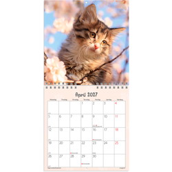 Mayland 27066400 Kattekillinger vægkalender 16x16,4cm