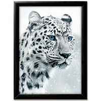 Snapramme 25mm 70x100cm Sort