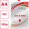 Esselte plastlomme A4 105my 10stk